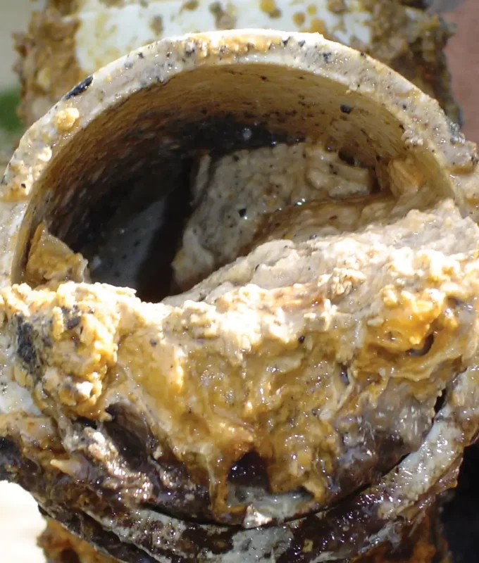 Sewer stoppage clearing